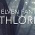 Beautiful Elven Fantasy Music Lothlorien Night Elf Music