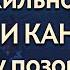 ПУТЬ В ТОП 100 В МИРЕ ЖИВОТНЫХ