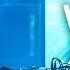 Alan Walker Skyline New Song 2019
