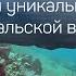 60 секунд о Байкале В чём уникальность байкальской воды