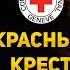 Бессмысленный и бесполезный Как на самом деле работает Красный крест Интервью Владимиру Золкину