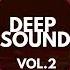 Deep Sound Vol 2 Mixed By Umut Torun