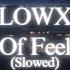 LOWX Sea Of Feelings Slowed