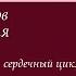 Кровообращение Сердце и круги кровообращения для ЕГЭ ЕГЭ БИОЛОГИЯ Freedom