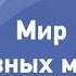 Мир диализных мембран