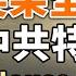 笑果全國停演 House可能被拘留 舉報人曝光 普京抓狂 逮捕三位研發科學家 英荷蘭向烏提供F16戰機 中共特使碰壁 政論天下第1014集 20230517 天亮時分