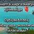 Таборак сураси