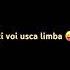 Îți Voi Usca Limba Partea 70 Popular Memes Funny Foryou Subscribe Like