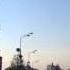 Куранты