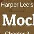 To Kill A Mockingbird Audio Ch 3