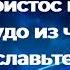 Славьте небо и земля Детская пасхальная песня