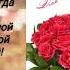 С Днем Рождения Анастасия