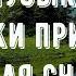 Музыка для Сна Пение птиц и журчание ручья Гипноз от стресса