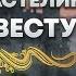 Черный Властелин ищет невесту История от которой невозможно оторваться