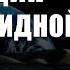 Активация шишковидной железы Третий Глаз Что важно Ливанда