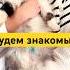 Впервые рассказываю о себе Знакомство Shorts Кошка Собака РеальнаяЖизнь блогснуля кавалер
