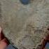 Here S An Outstanding Example Of A HUGE Ichthyosaur Paddle Digit Roughly 180 Million Years Old