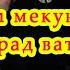 ШАВКАТ МАСТОНОВ Ватани кас Туёна Shavkat Mastonov гариби Tajikistan мусофир Panjakent