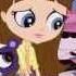 Littlest Pet Shop Won T Have To Look Too Far Dutch