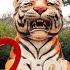 Seoul Grand Park ZOO