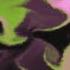 Bones HandbookForTheRecentlyDeceased