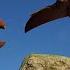 Learn About Dinosaurs Part 2 For Kids Velociraptor Quetzalcoatlus Fossils And More