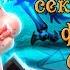 Hearthstone Первая часть реплик и секретных фраз боссов приключения Кобольды и катакомбы