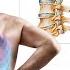 Key Vitamin Deficiencies Causing Your Back Pain