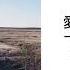 蕭秉治Xiao Bing Chih 怦然心動 繁中歌詞