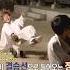 Jungkook Will Not Let Taehyung Win At Any Cost Shorts Taehyung Jungkook Btsfunny