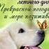 С добрым утром четверга