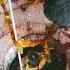 Har Mahadev Devon Ke Dev Mahadev