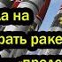 РФ ответила на требования убрать ракеты от границ США представляют опасность критического уровня