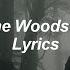 Meet Me In The Woods Lord Huron Lyrics