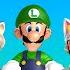 New Super Mario Bros Series All Luigi Power Ups