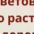Мне жалко цветов что растут при дороге Христианские песни Виктор Бем