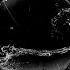 Liquid Nights Fracus Darwin Remix