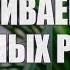 Комнатные растения ТОП 10 неубиваемых цветов для дома