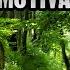 TRAIL RUNNING MOTIVATION 2023 HD No Limits