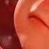 Звуки в утробе матери для сна малыша Sounds In The Womb To Calm And Sleep The Baby