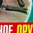 Тефлон гарантия рака Новые антипригарные покрытия опаснее старых Дюпонт перфтороктановая кислота