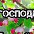 ПРОПОВЕДЬ НАКАЗАНИЕ ГОСПОДНЕ АНТОНЮК АНДРЕЙ БОЖЬЯ ЛЮБОВЬ