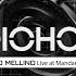 AUDIOHOLICS 67 Mariano Mellino Live At Mandarine Park With Eric Prydz