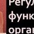 Биология 8 класс Регуляция функций в организме