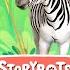 He S A Zebra Instrumental StoryBots