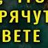 Ему реально удалось вернуться с того света с посланием которое шокирует любого Маккормак Г Сторм