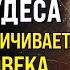 БЛАГОДАРЯ ЭТОМУ Я ПРОЖИЛ 95 ЛЕТ Советы Гениального Ученого Андрея Болотова