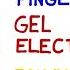 DNA Fingerprinting Gel Electrophoresis Polymerase Chain Reaction PCR