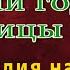 М Фрадкин А годы летят наши годы как птицы летят мелодия на гитаре разбор Добровольцы