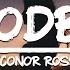 Conor Ross Goodbye Lyrics